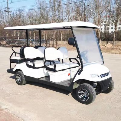 Máy lái tay trái Golf Electric Buggy Lithium pin vận hành xe golf 2-10 chỗ ngồi