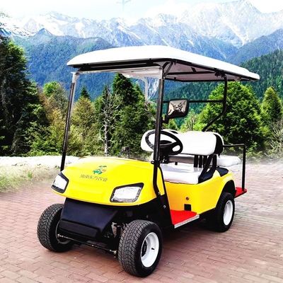 Máy lái tay trái Golf Electric Buggy Lithium pin vận hành xe golf 2-10 chỗ ngồi
